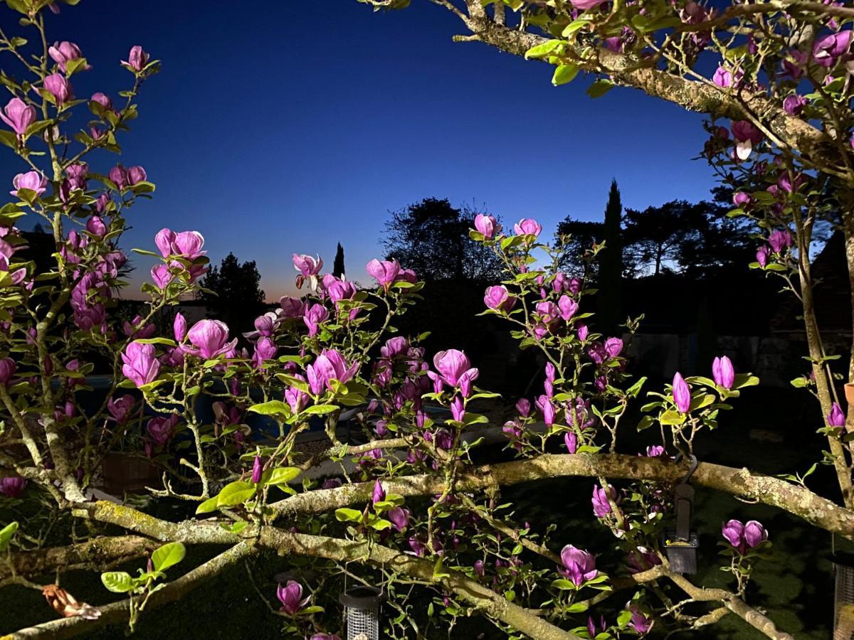 Domaine Du Tafiart Bed & Breakfast Sarron Eksteriør bilde