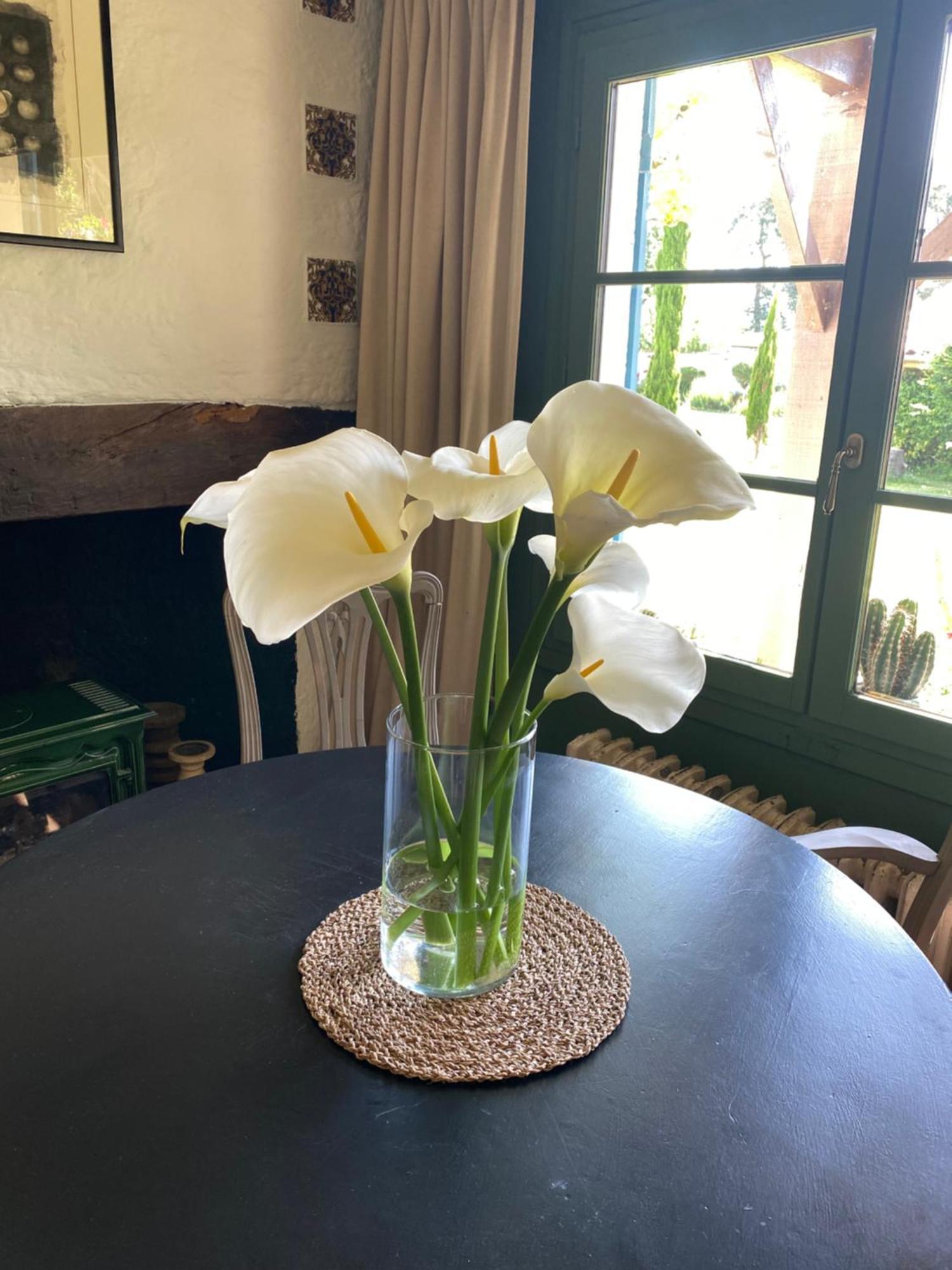 Domaine Du Tafiart Bed & Breakfast Sarron Eksteriør bilde